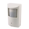 Color Motion Detector Video Camera